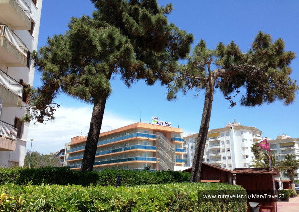 photo 698730
