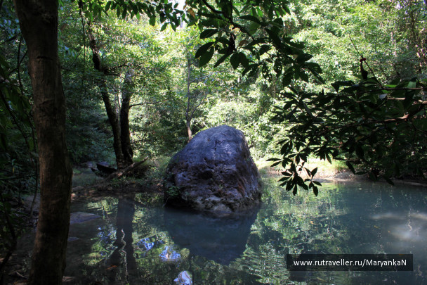 photo 244520