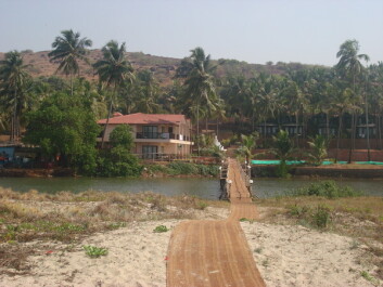 photo 156762