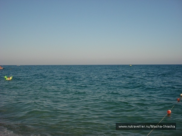 photo 156935