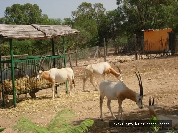 photo 156828