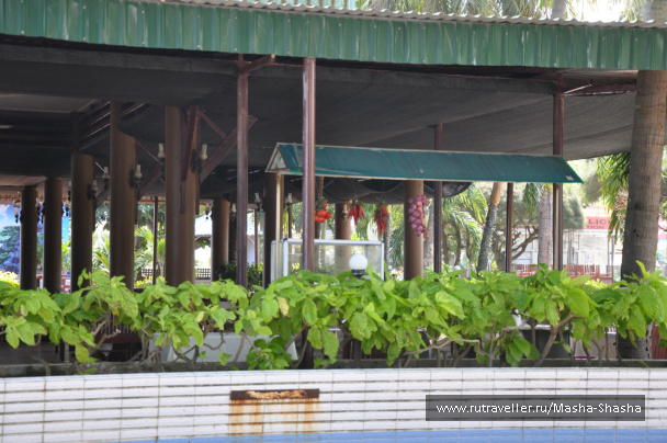 photo 211834