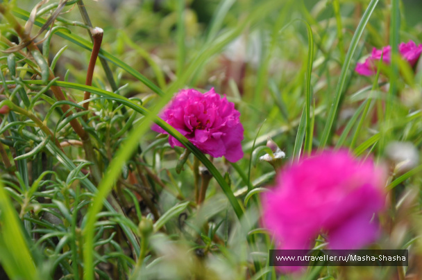 photo 211845