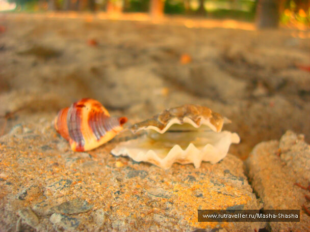 photo 320717