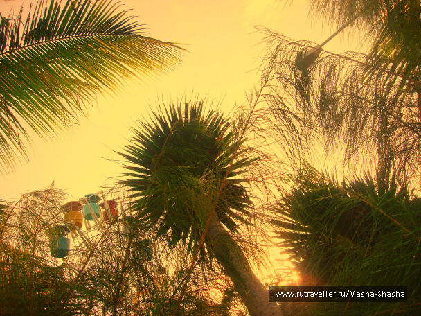 photo 320718
