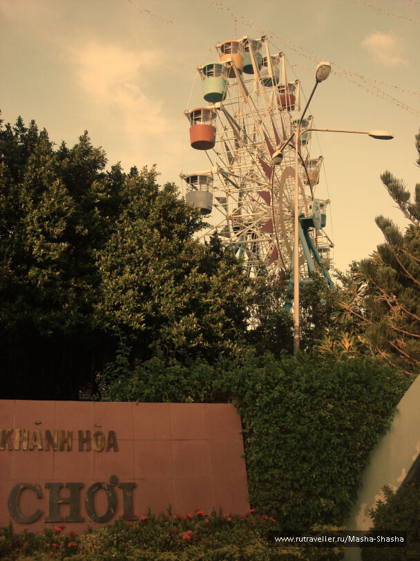 photo 321443