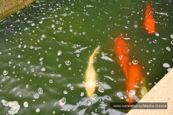 photo 349560