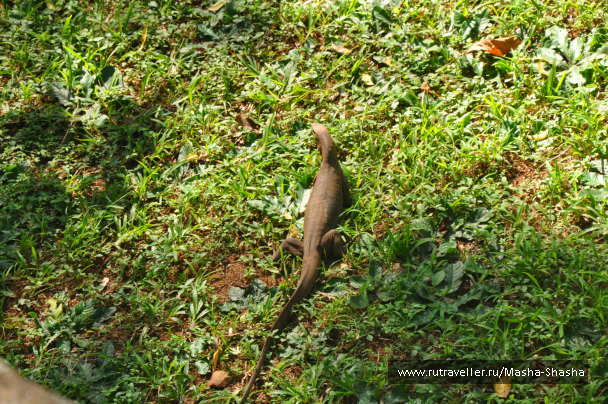 photo 662349