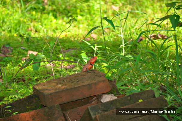 photo 662353