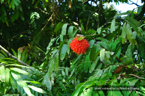 photo 662444