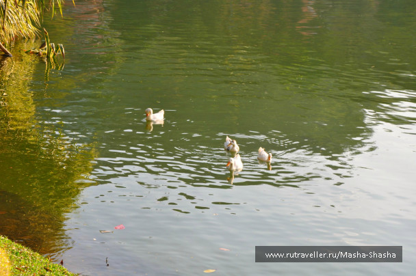 photo 662567