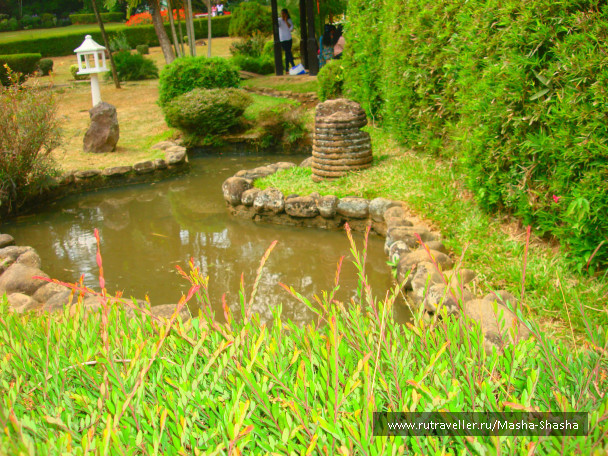 photo 662584