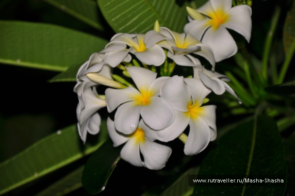 photo 756507