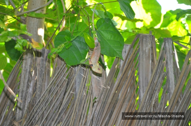 photo 756522