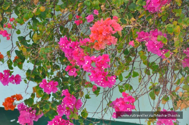photo 756530