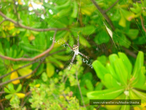 photo 756548