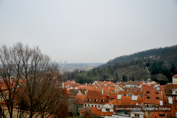 photo 1003932