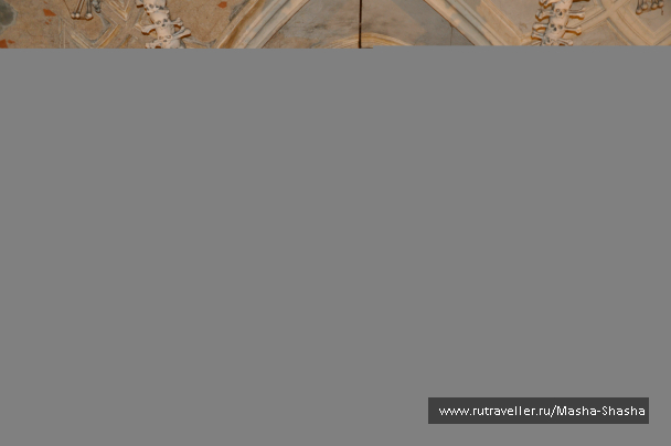 photo 1003942