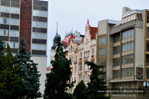 photo 1003972