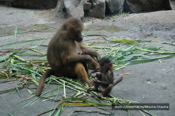 photo 1131282