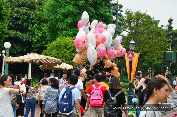 photo 1308062