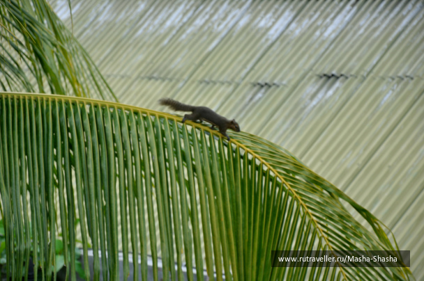 photo 1424568