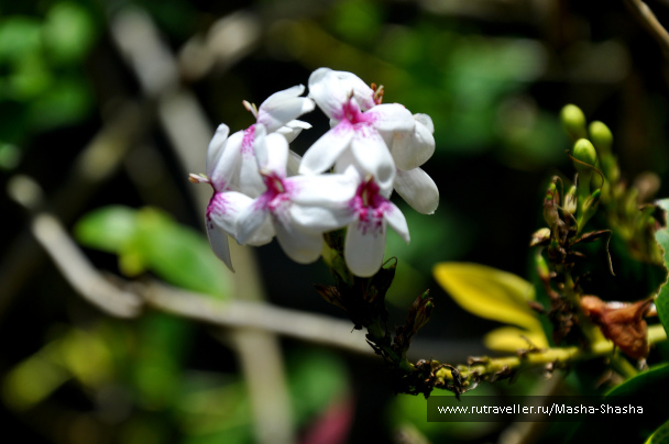 photo 1424575