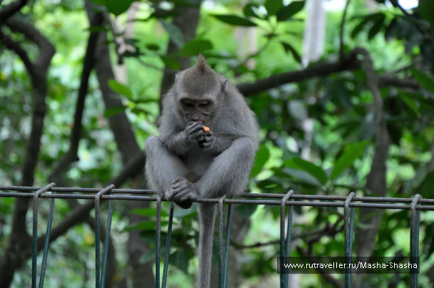 photo 1424632
