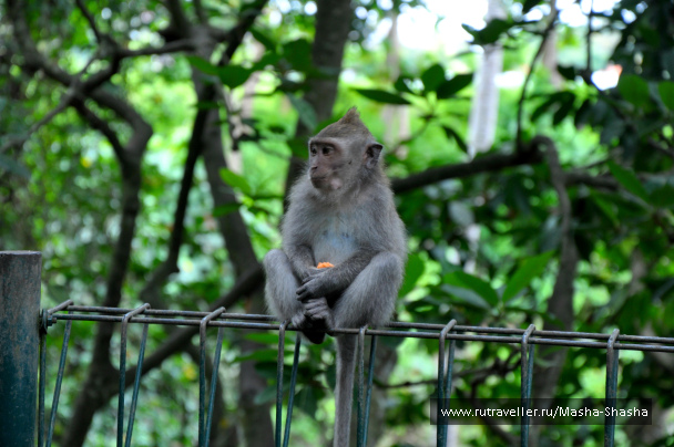 photo 1424633