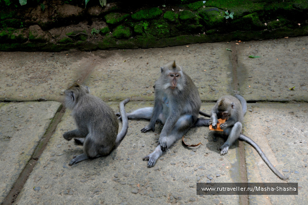 photo 1424639
