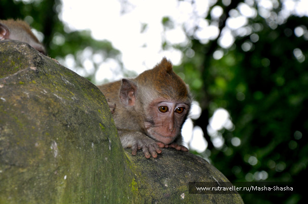 photo 1424641