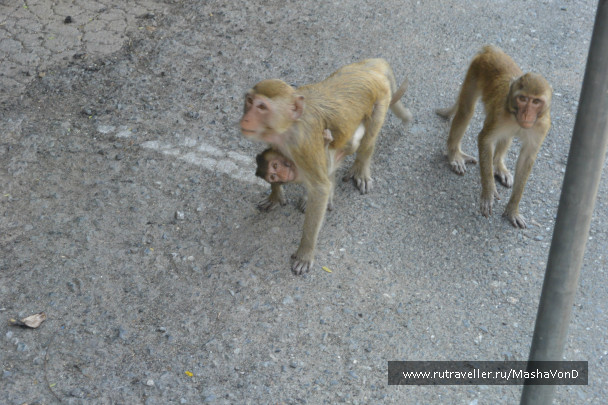 photo 691943