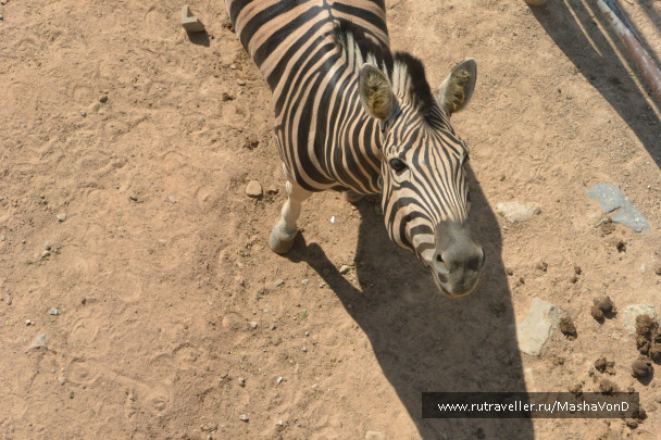 photo 691945