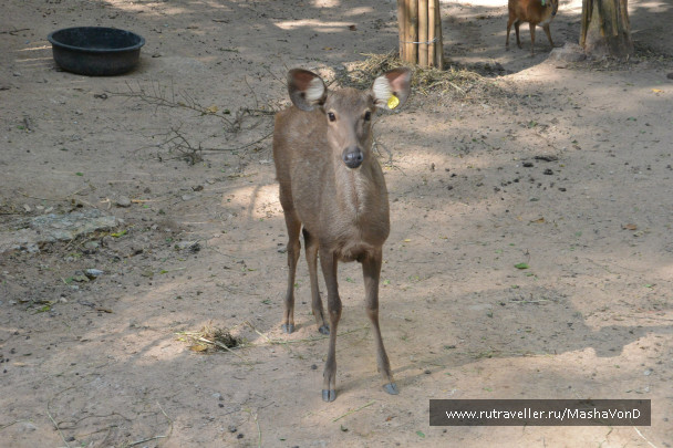 photo 691946