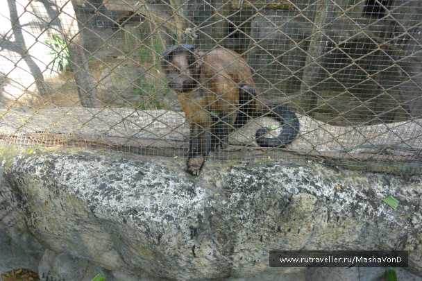 photo 691950