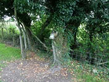 photo 380810