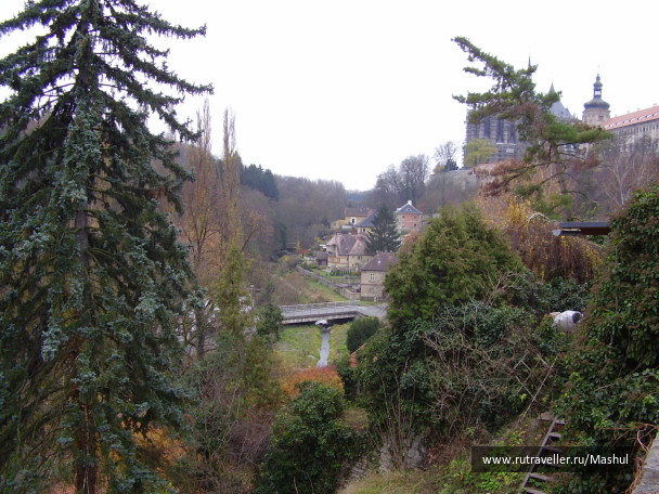 photo 20525