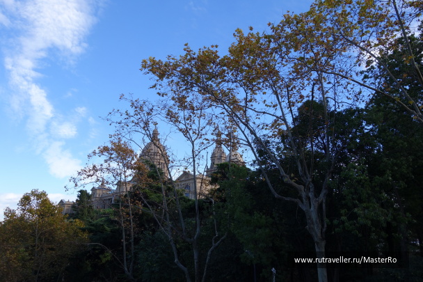 photo 598215