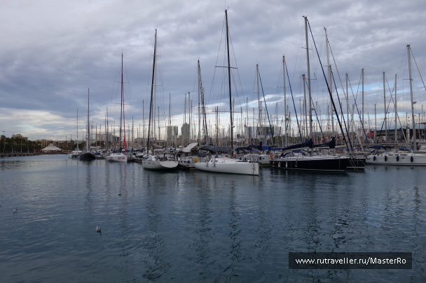 photo 598222