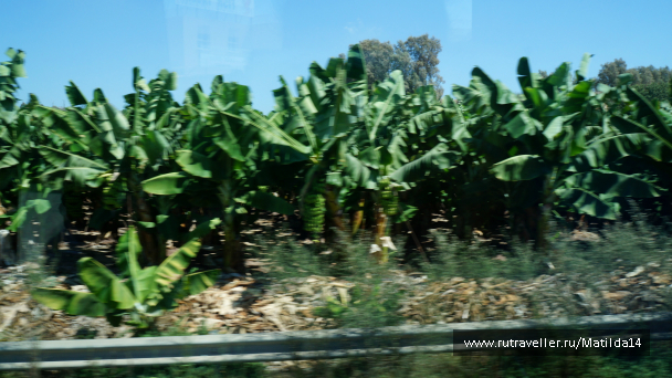 photo 704628