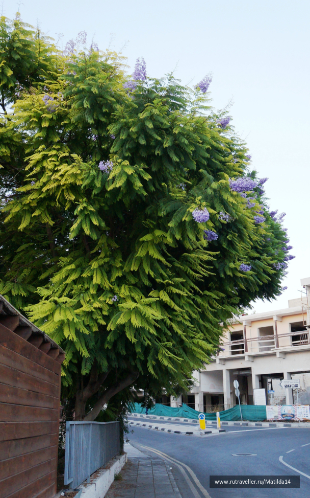 photo 704631
