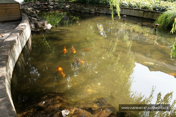 photo 837539