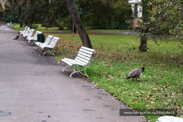 photo 907745