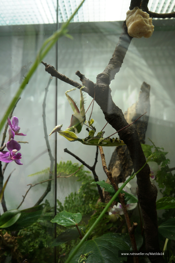 photo 1025584