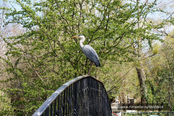 photo 1025586