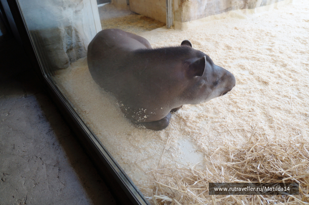 photo 1025589