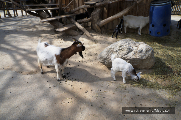 photo 1025590