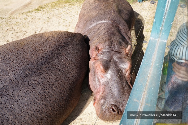 photo 1025591
