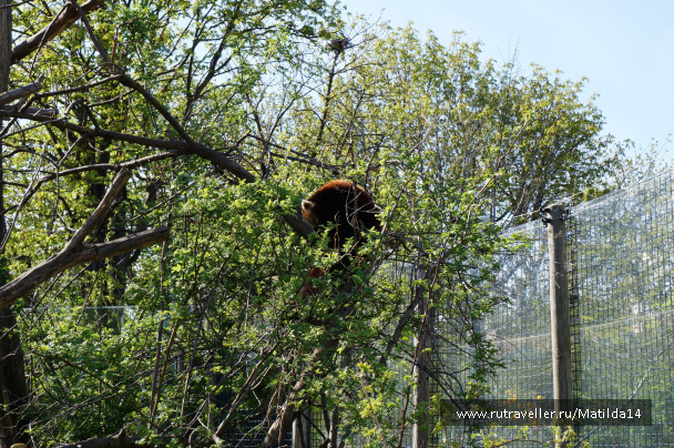 photo 1025592