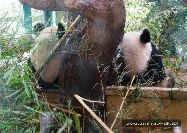 photo 1025593